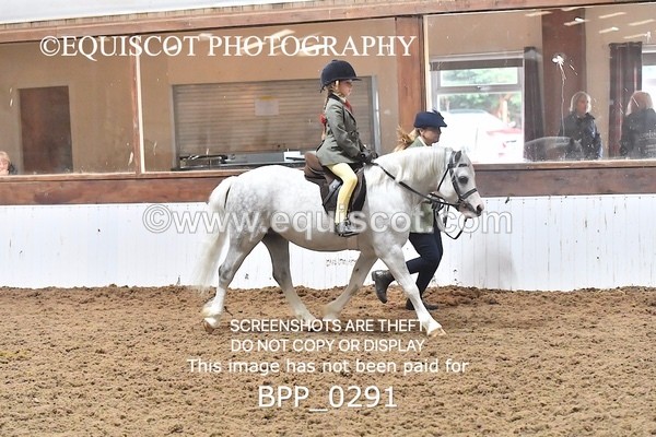BPP_0291 - RING 1