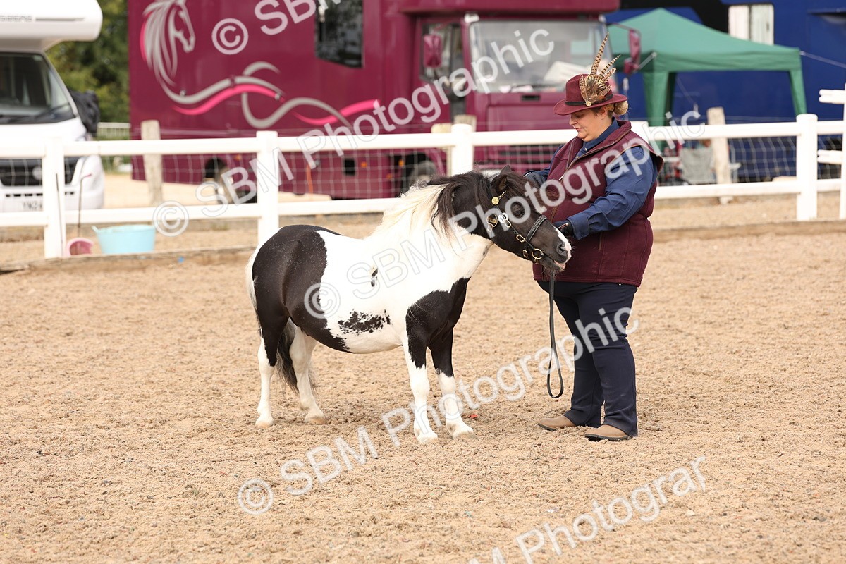 SBM_15126 - Class 209 - IH Veteran Pony