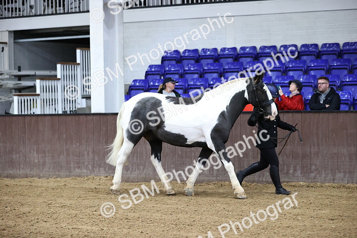 SBM_5253 - Class 32 - In Hand Cob Type