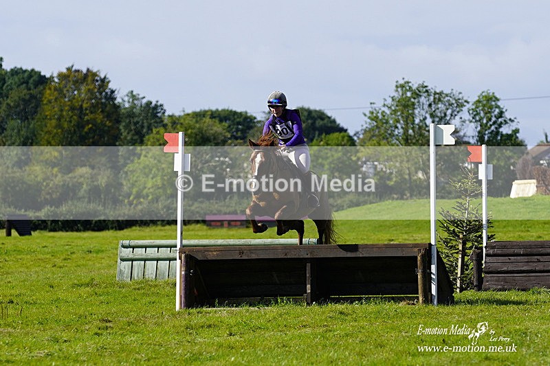  WWHT 031021 1551 - Open Novice (0.80m) 03/10/21