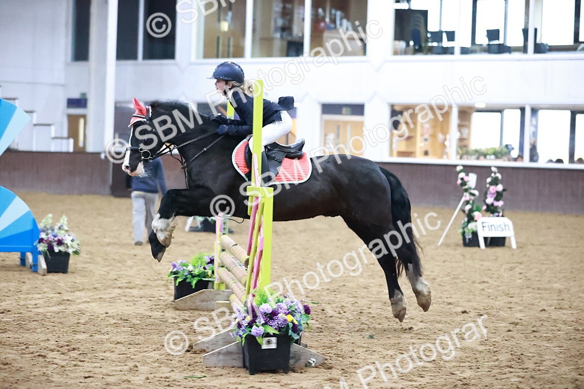 SBM_001628 - Class 9 - Pony Intro 75cm