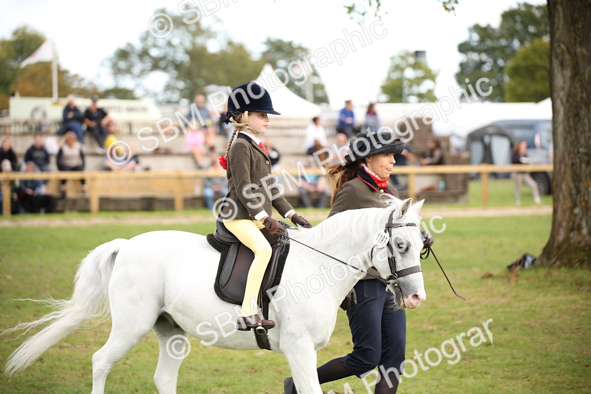 SBM_50012 - S26 - Young Veteran - Ridden