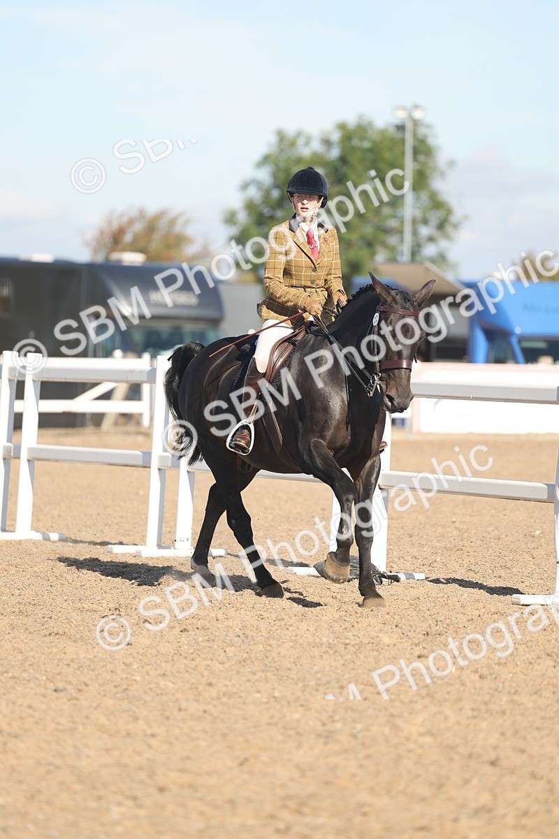 SBM_12317 - Class 304 - Ridden part Bred Horse Pony