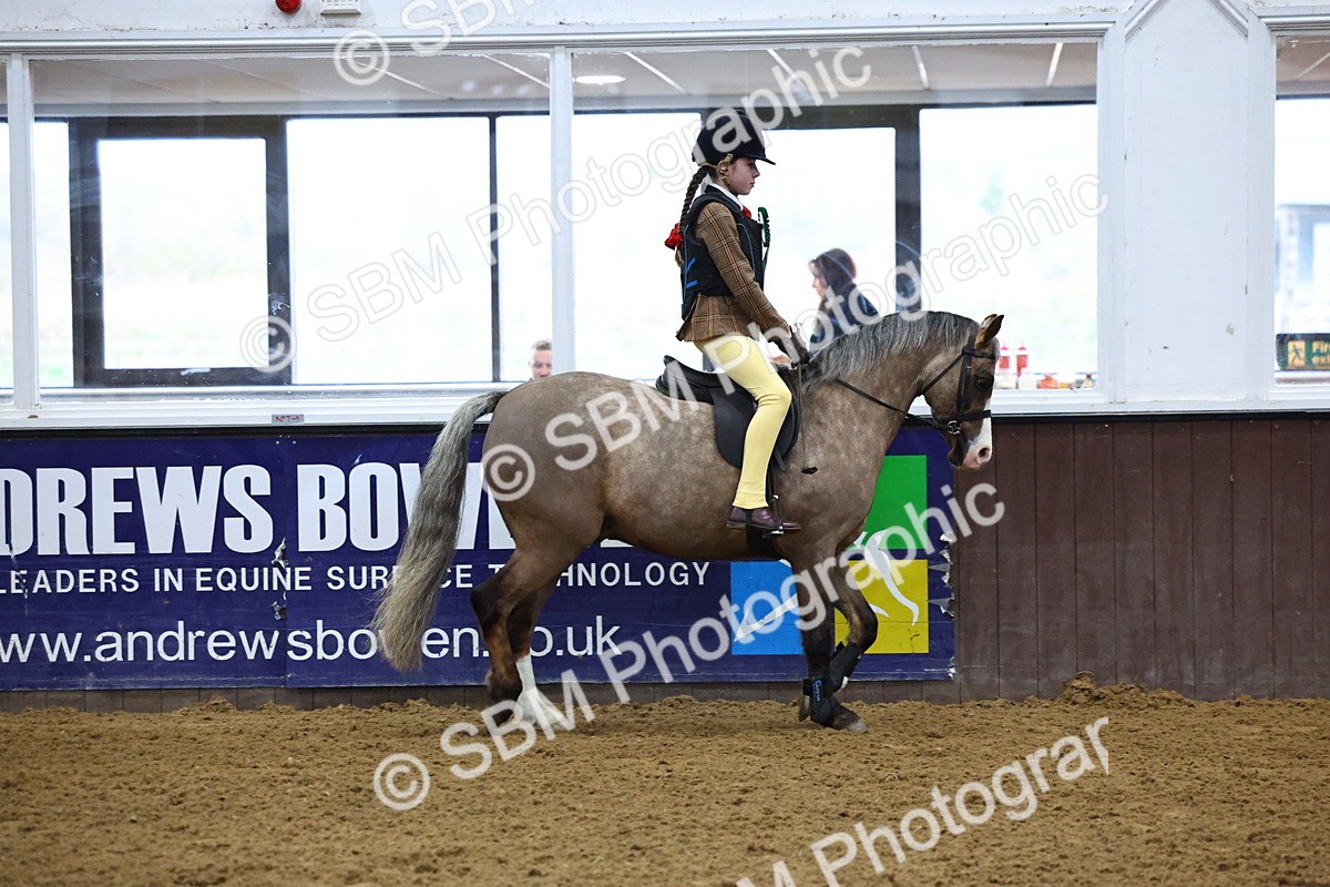 SBM_003223 - Class 35 - 60cm Training Stakes