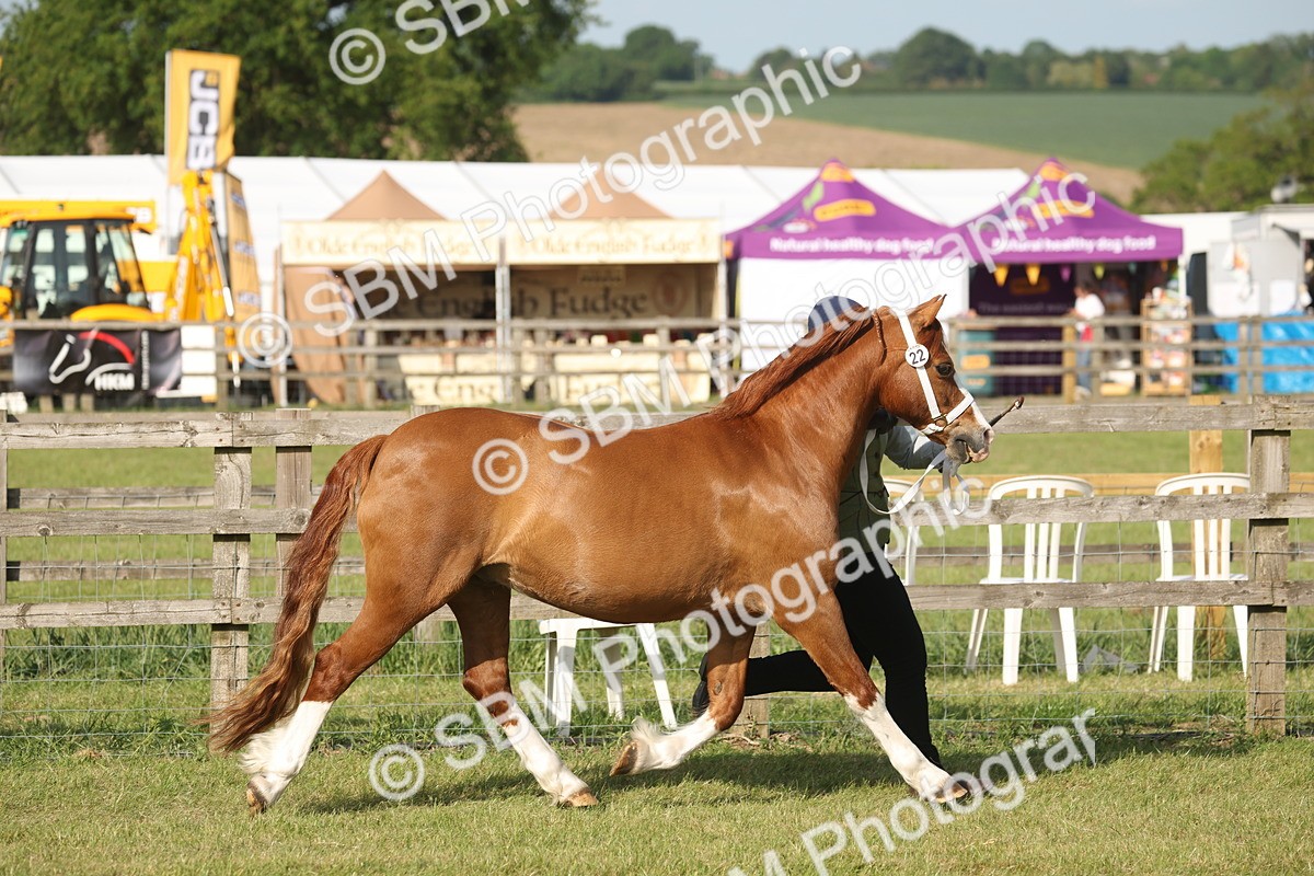 SBM_10445 - Class 33-38 - SSADL RIHS Qualifiers
