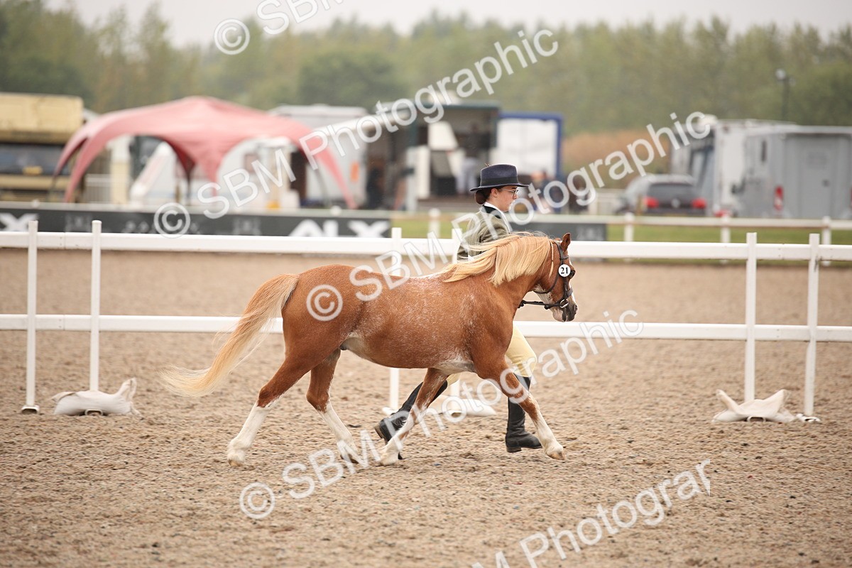 SBM_20180 - Class 703 - IH  Coloured