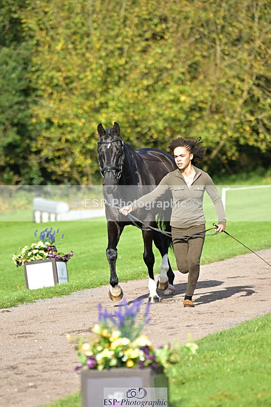 241023-130530-00062 - 052-Lydia.Heywood-JUST.THE.BISCUIT