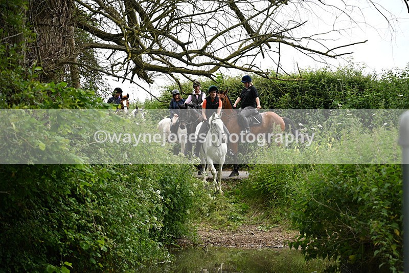 WJ7_2381 - Camera 2 Water Crossing