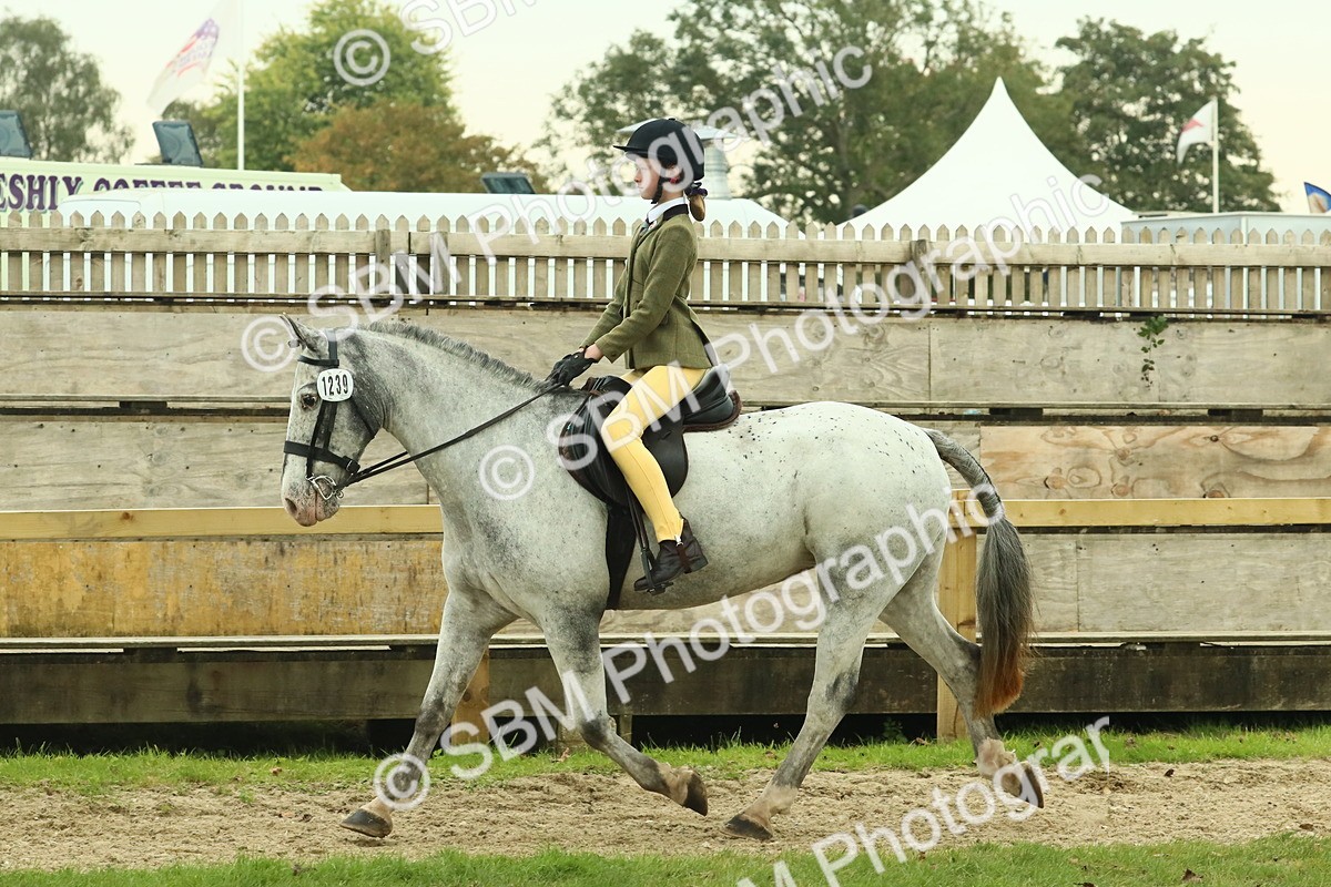 SBM_74050 - S 61 - Show Pony & Show Hunter Pony Ridden
