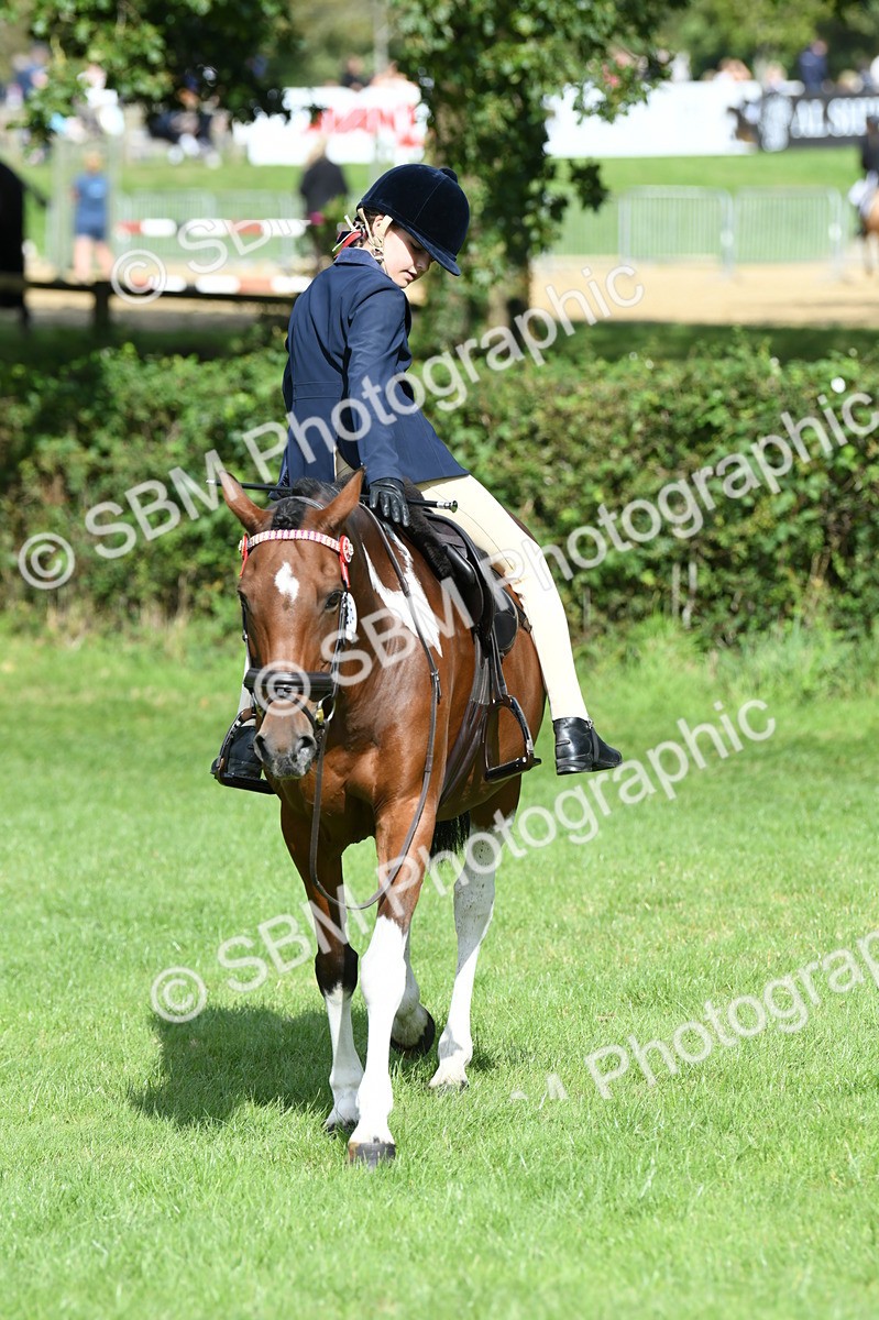 SBM_47146 - S12 - Family Horse & Pony