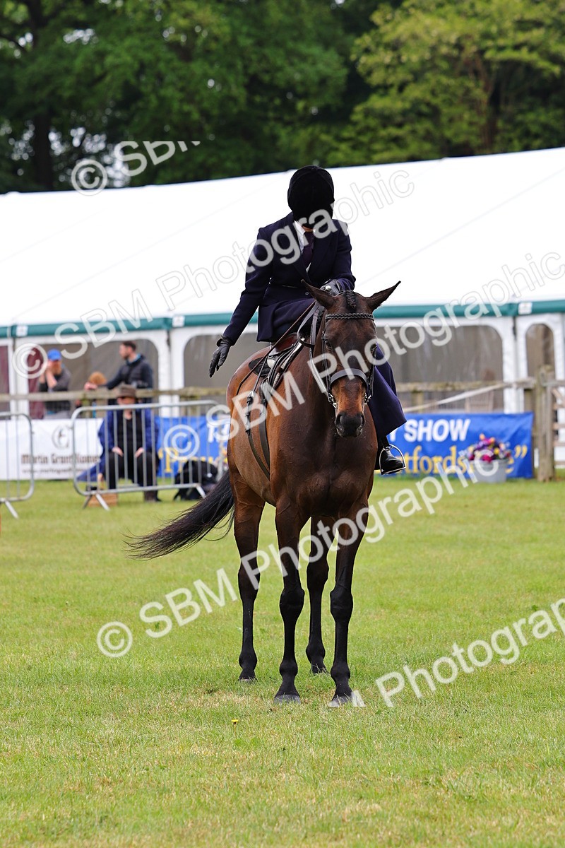 SBM_02768 - Class 9-11 Side Saddle including LIHS Rising Star Ladies Show Horse