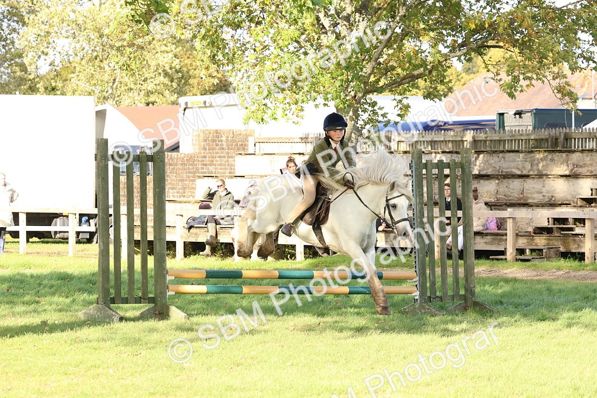 SBM_52597 - S13 - Pony Club Pony