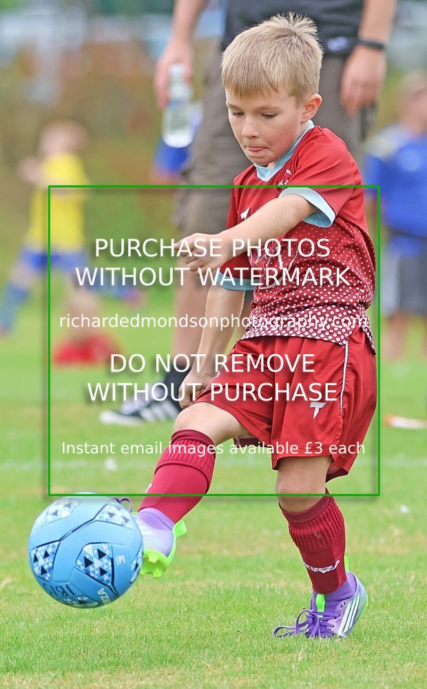 533A1766 - Westgate Wanderers Under 8's