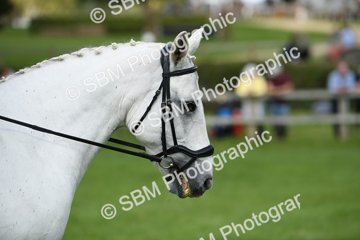 SBM_46824 - S12 - Family Horse & Pony