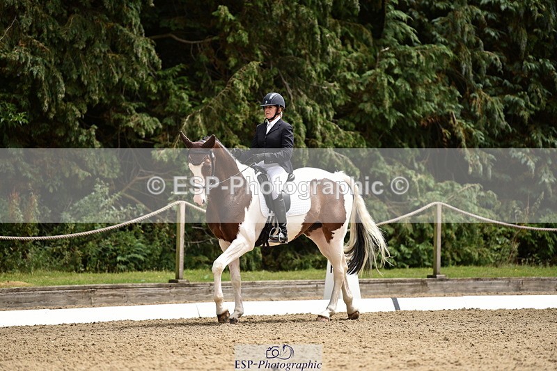 140110A-030912-11176 - 070-Deborah.Randall-Kindred.Spirit