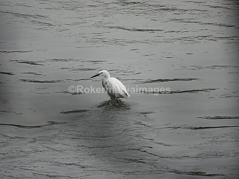 CHINA__0325 - China 2019