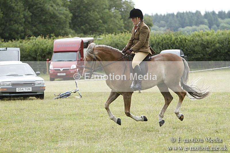 BVR160717-410 - Ring 3 BVRC Show 16/07/17