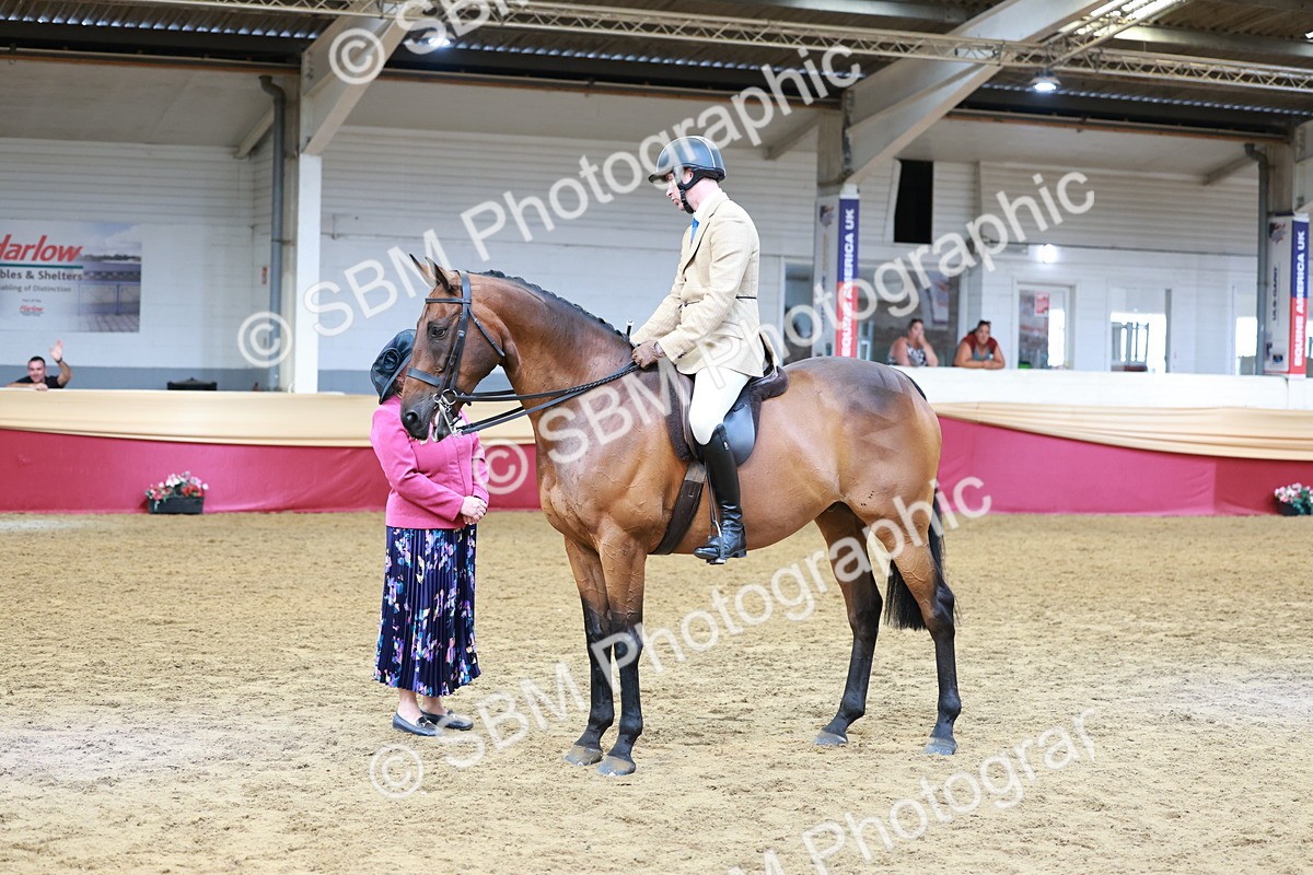 SBM_14921 - Class 108 - Ridden Retired Racehorse