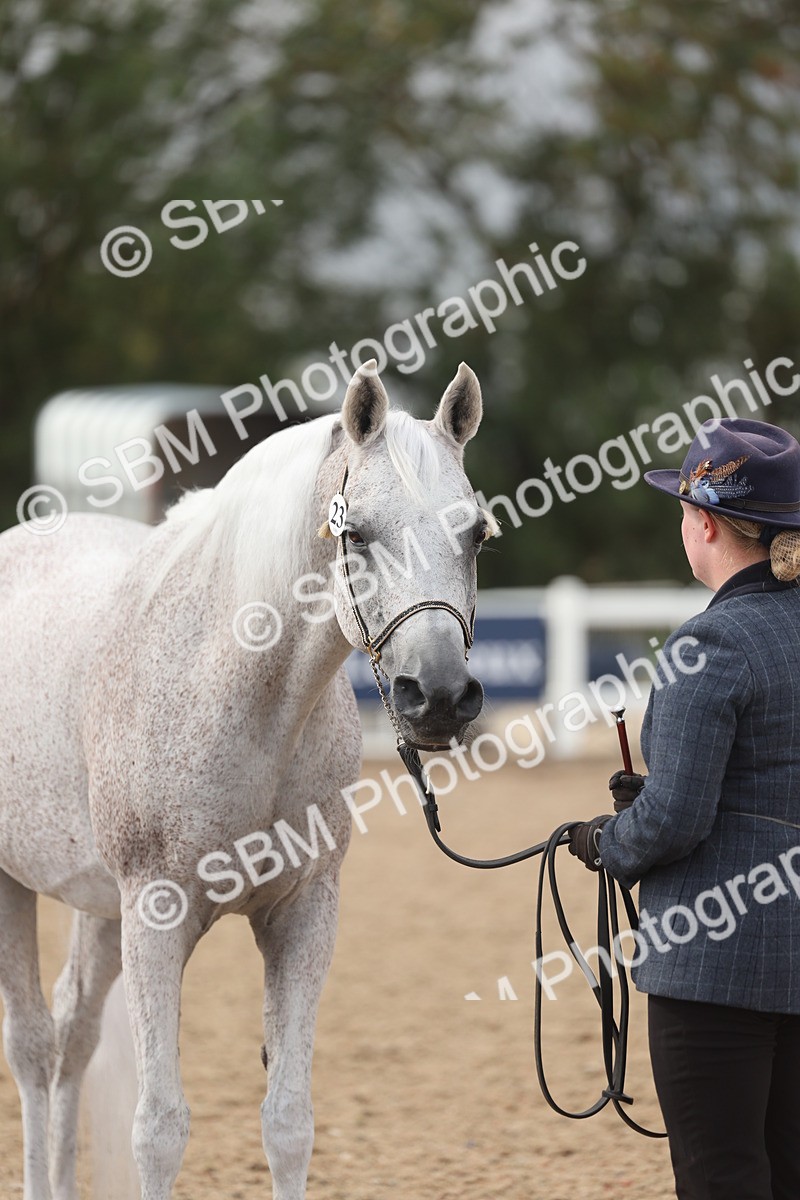 SBM_06902 - Class 25 - IH Foreign Breeds - Purebred