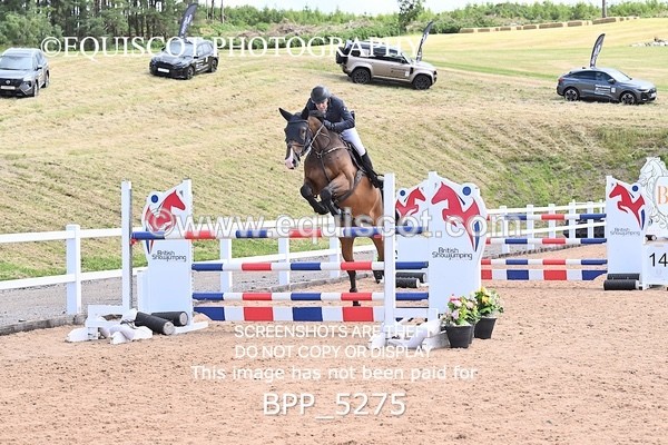 BPP_5275 - CLASS 8 THURS HOYS GFS Saddles Senior Newcomers Second Round