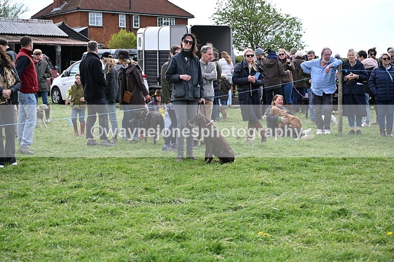 WJ6_8578 - Class 6 Best Rescue