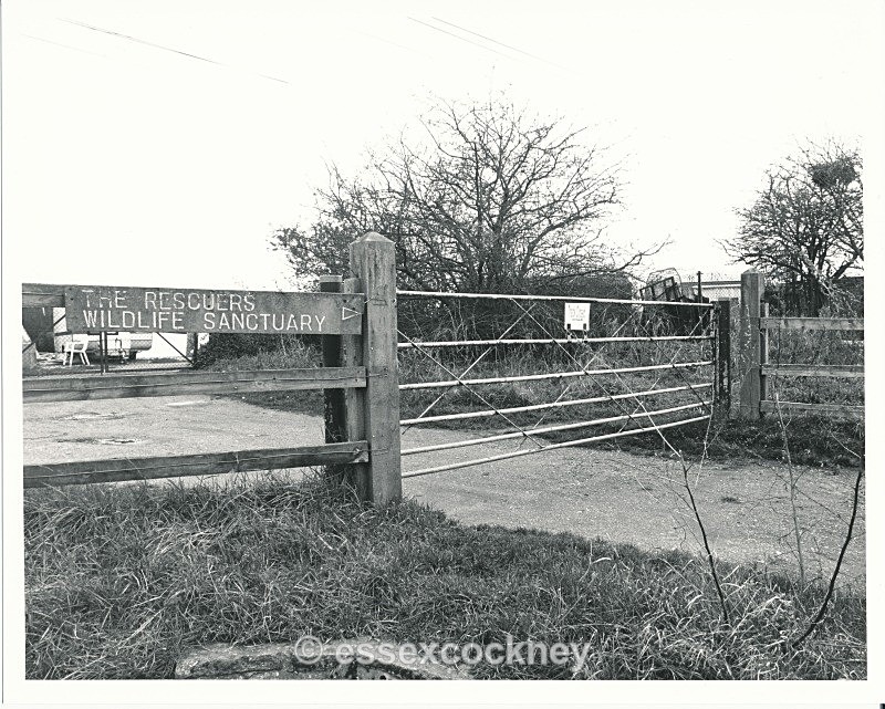  - Benfleet Essex