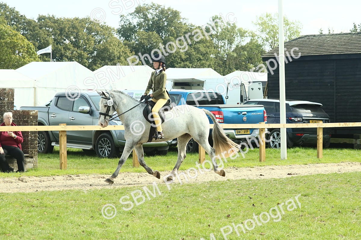 SBM_67538 - S56 - Coloured Pony Ridden