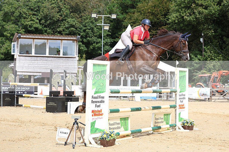 3E7A4307 - Class 8: Senior Foxhunter/1.20 open