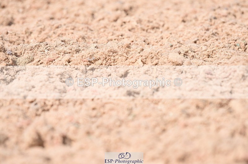 230701A-155030-07462 - Cls 11 Novice 34