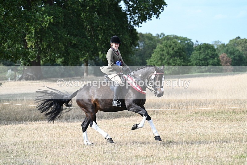 WJ7_7866 - Ridden Championship