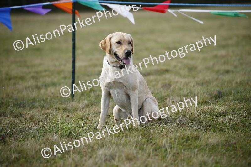 20250831-3917 - Dog Show