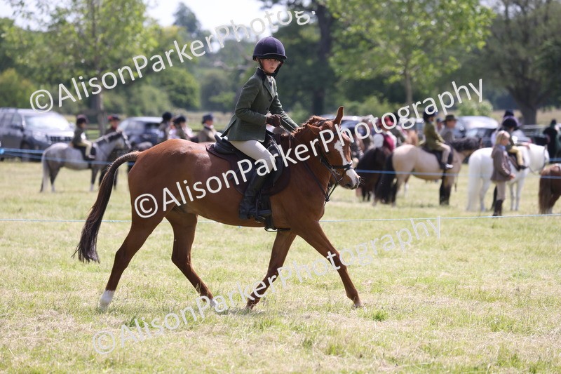 20260614-1868 - Class 21 - Novice Working Hunter Pony