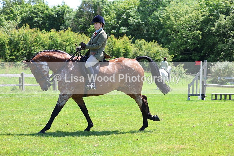 3E7A8306 - Class 13: Ridden Hunter