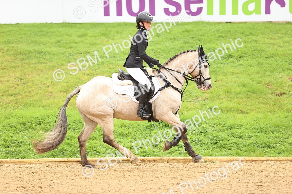 SBM_73347 - J19 - Junior Horse & Pony 90cm Supreme championship