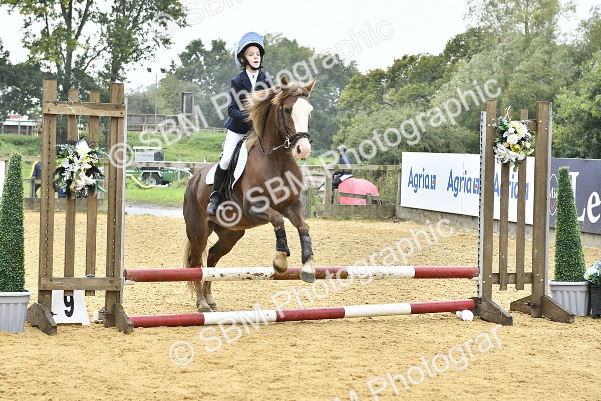 SBM_70891 - J3 - Mini Tour Junior Pony 40cm championship