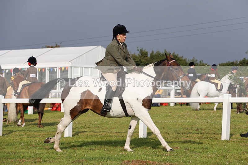 1X9A2918 - Class 25: Ridden Plaited Coloured Horse