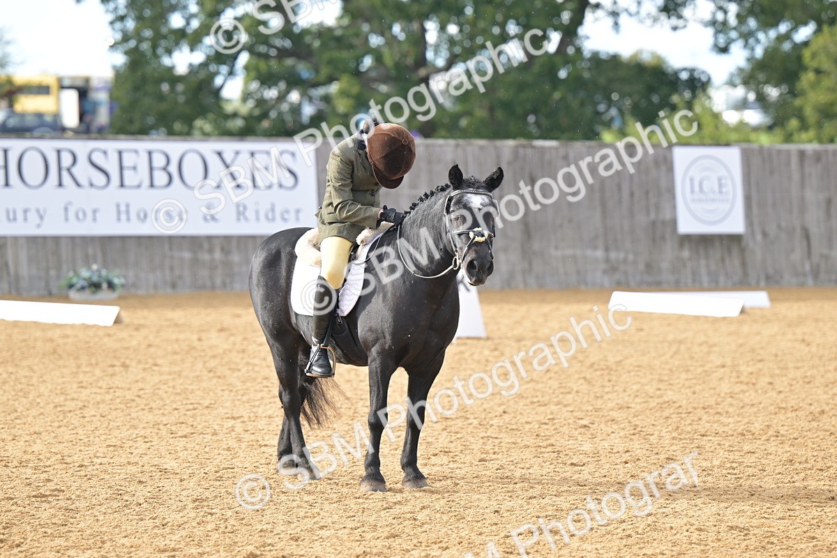 SBM_12909 - D3 - Small Tour Championship Intro 3