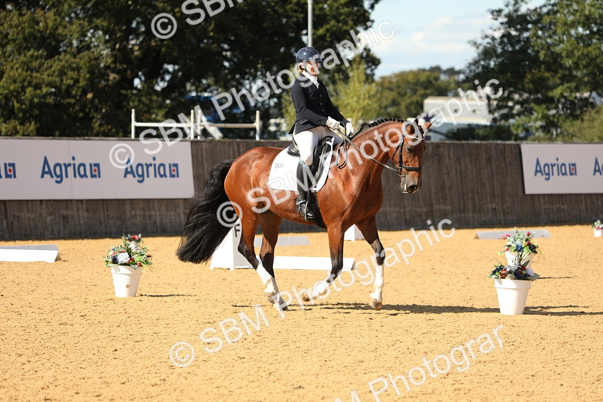 SBM_24520 - D17 - Grand Tour Championship - Novice 27