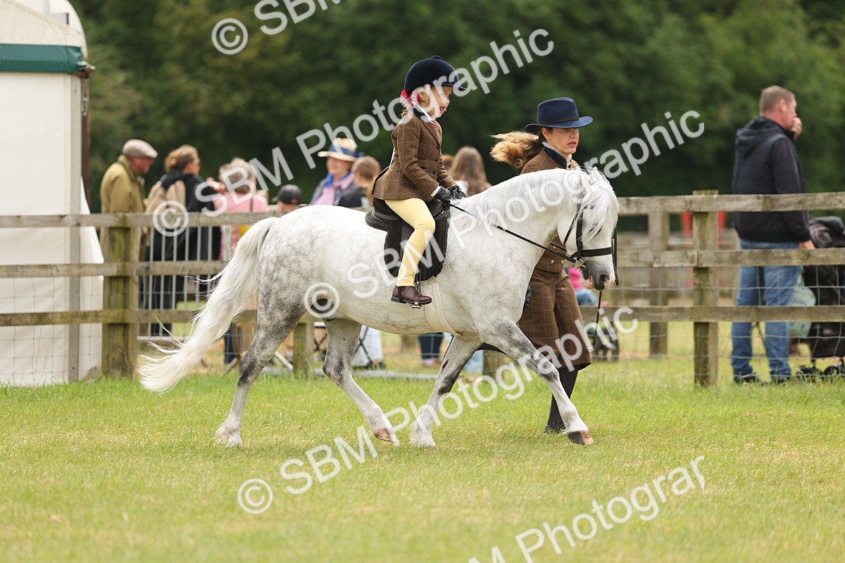 SBM_06695 - Class 74-75 - M&M Lead Rein and First Ridden Pony