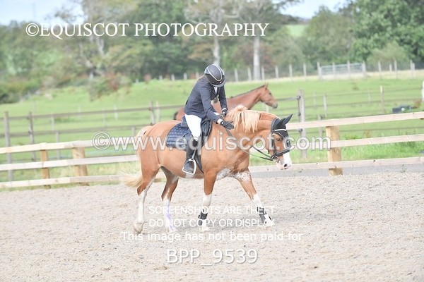 BPP_9539 - CLASS 8 90CM