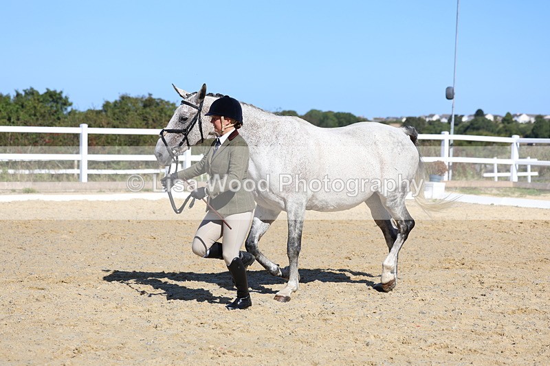 3E7A5557 - Class 9: Open Ridden Hunter