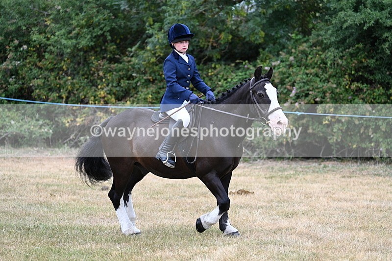 WJ7_0343 - Class 2 Best rider
