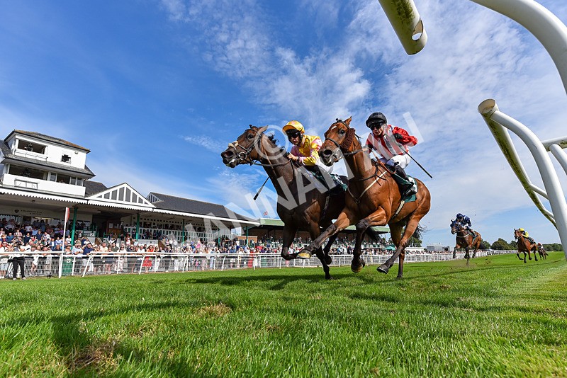 260826-Race 3-Battenburg Belle-6351 - Race 3 15:15 Happy 50th Birthday Victoria Melling Handicap