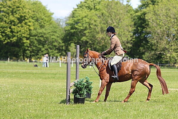 IMG_3776 - Working Hunter