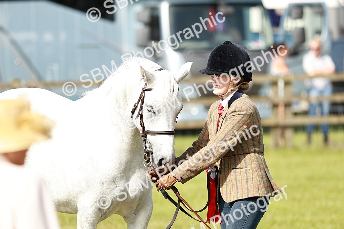 SBM_01716 - Class 14-23 - Mountain & Moorland In Hand Non Welsh