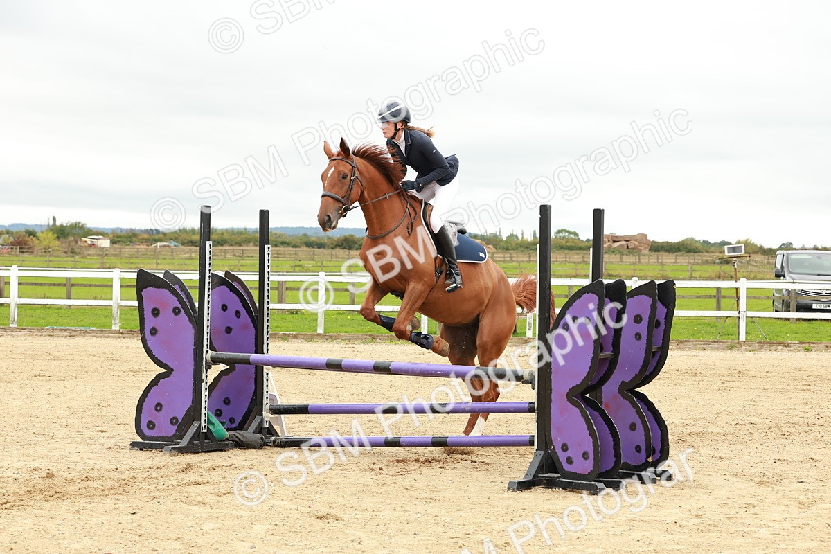 1I0A6954 - Class 2 - Senior British Novice