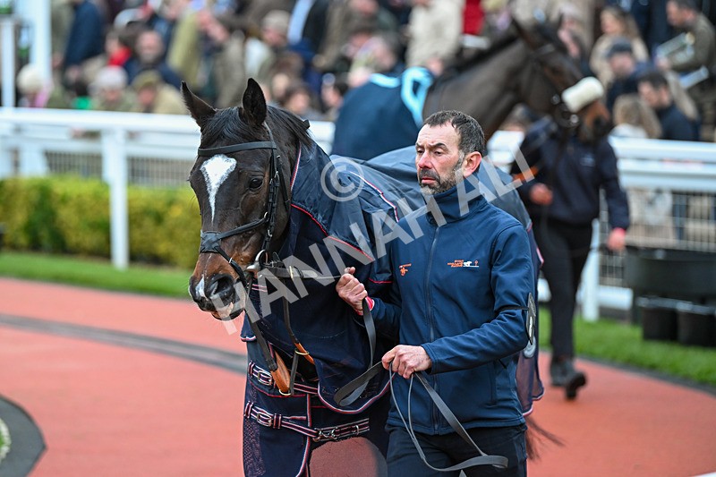 171124-Race 5-Paddock-Cracking Rhapsody-3733 - Race 5