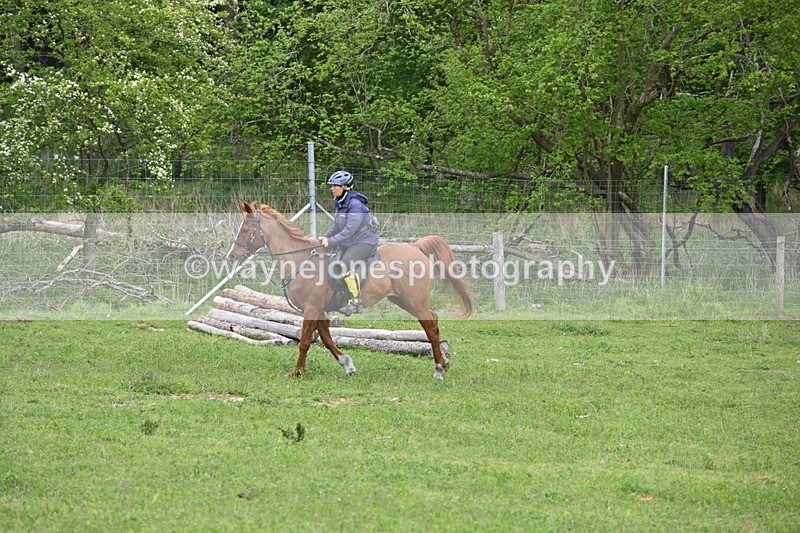 WJ6_3220 - A camera