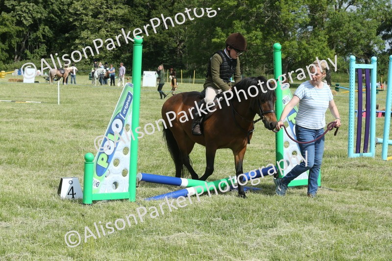20260614-0137 - Class 1 - 30cm Lead Rein
