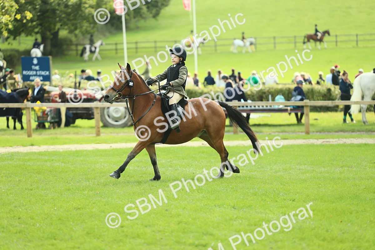 SBM_44610 - S31 - Working Hunter Pony